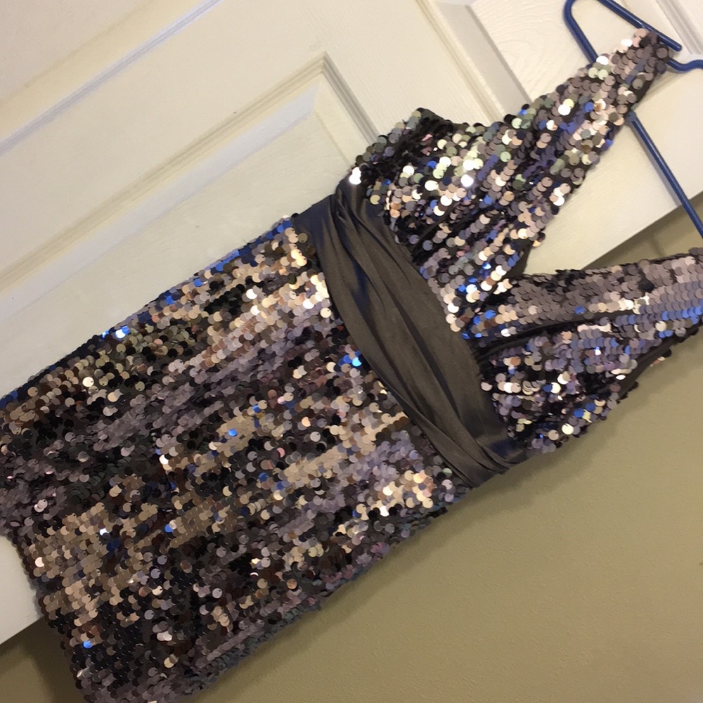 Silver Sequined Dress